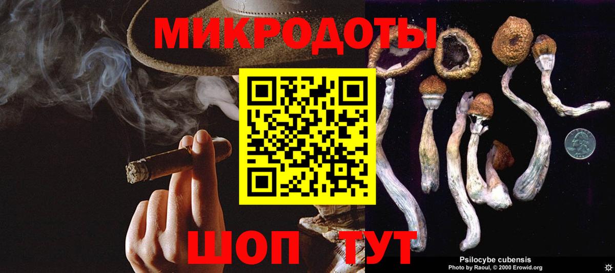 Псилоцибиновые грибы Cubensis  Вход с VPN  Мирный 